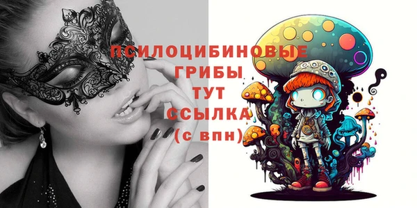 дмт Белокуриха