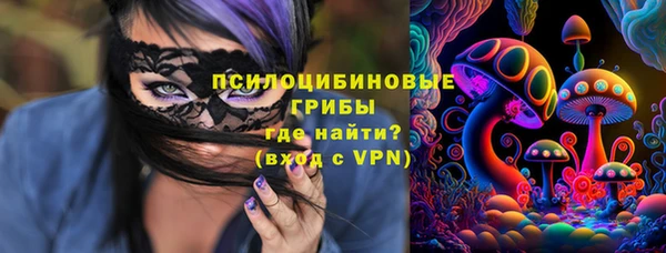 дмт Белокуриха