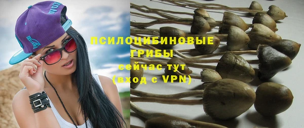 apvp Беломорск