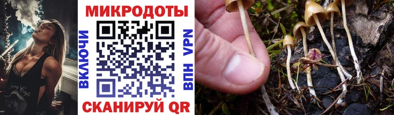 Галлюциногенные грибы мицелий  Надым 