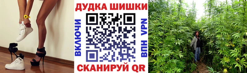 Конопля VHQ Надым